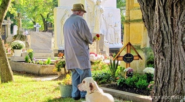 В Вене теперь есть общее кладбище для людей и животных